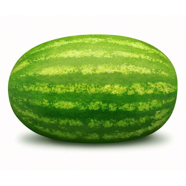 The melon